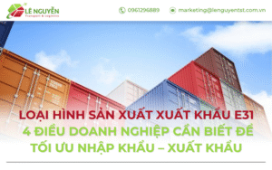 Loại hình sản xuất xuất khẩu E31