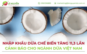 Nhập khẩu dừa chế biến tăng 11,3 lần
