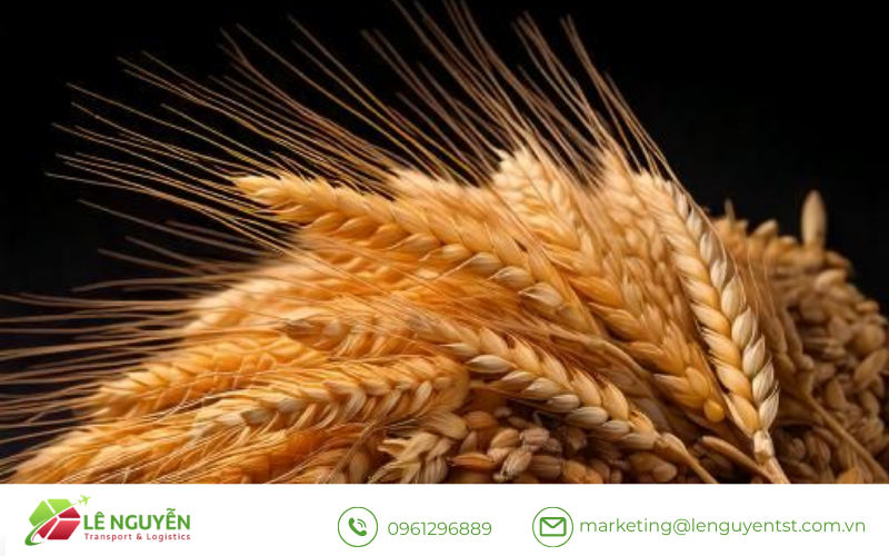 Các bước thực hiện thủ tục nhập khẩu nguyên liệu thực phẩm