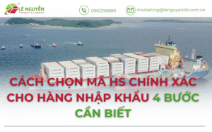 Cách Chọn Mã HS Chính Xác Cho Hàng Nhập Khẩu – 4 Bước Cần Biết