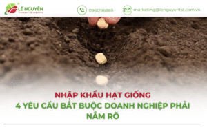 Nhập khẩu hạt giống