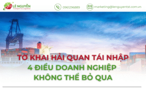 Tờ khai hải quan tái nhập