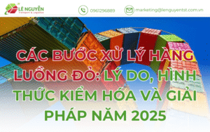 Các Bước Xử Lý Hàng Luồng Đỏ: Lý Do, Hình Thức Kiểm Hóa Và Giải Pháp Năm 2025
