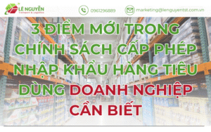 3 Điểm Mới Trong Chính Sách Cấp Phép Nhập Khẩu Hàng Tiêu Dùng Doanh Nghiệp Cần Biết