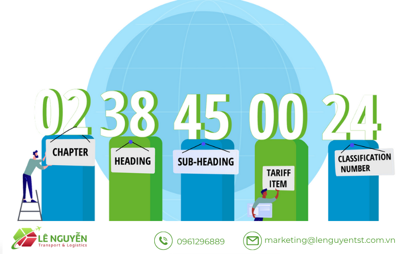 Cách tra cứu mã HS chính xác để tránh sai sót