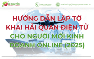 Hướng dẫn lập tờ khai hải quan điện tử cho người mới kinh doanh online (2025)