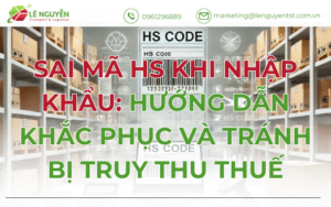 Sai mã HS khi nhập khẩu: Hướng dẫn khắc phục và tránh bị truy thu thuế