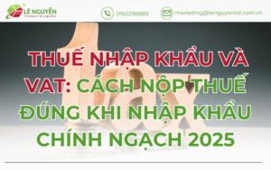 Thuế nhập khẩu và VAT: Cách nộp thuế đúng khi nhập khẩu chính ngạch 2025