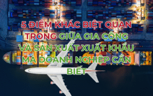 5 điểm khác biệt quan trọng giữa gia công và sản xuất xuất khẩu mà doanh nghiệp cần biết