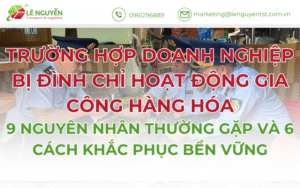 Trường hợp doanh nghiệp bị đình chỉ hoạt động gia công hàng hóa, 9 nguyên nhân thường gặp và 6 cách khắc phục bền vững