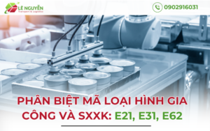 Phân Biệt Mã Loại Hình Gia Công Và SXXK: E21, E31, E62