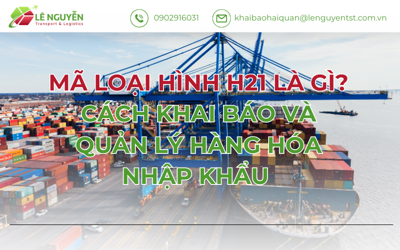 Mã loại hình H21 là gì | Cách khai báo và quản lý hàng hóa nhập khẩu