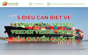5 điều cần biết về Connection Vessel và Feeder Vessel trong vận chuyển quốc tế