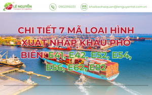 CHI TIẾT 7 MÃ LOẠI HÌNH XUẤT NHẬP KHẨU PHỔ BIẾN: E41, E42, E52, E54, E56, E62, E82