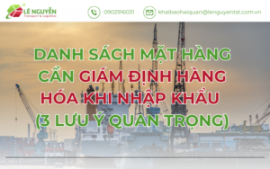 Danh Sách Mặt Hàng Cần Giám Định Hàng Hóa Khi Nhập Khẩu (3 Lưu Ý Quan Trọng)