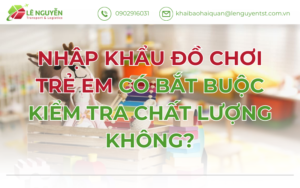 Nhập Khẩu Đồ Chơi Trẻ Em Có Bắt Buộc Kiểm Tra Chất Lượng Không?