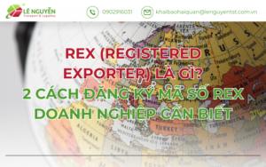REX (Registered Exporter) Là Gì? 2 Cách Đăng Ký Mã Số Doanh Nghiệp Cần Biết