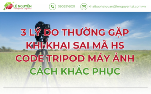 3 LÝ DO THƯỜNG GẶP KHI KHAI SAI MÃ HS CODE TRIPOD MÁY ẢNH - CÁCH KHẮC PHỤC