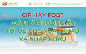 CIF Hay FOB? Đâu Là Phương Án Tối Ưu Cho Xuất Khẩu Và Nhập Khẩu