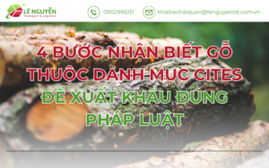 4 Bước Nhận Biết Gỗ Thuộc Danh Mục CITES Để Xuất Khẩu Đúng Pháp Luật
