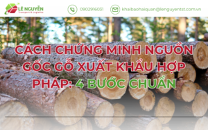 Cách Chứng Minh Nguồn Gốc Gỗ Xuất Khẩu Hợp Pháp: 4 Bước Chuẩn