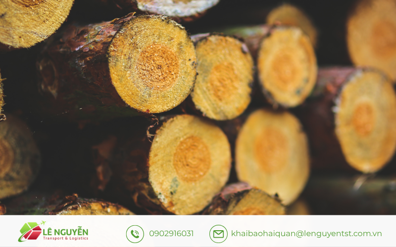 Định danh bằng Tên khoa học và Công tác giám định mẫu vật