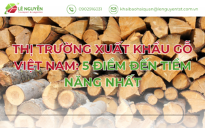 Thị Trường Xuất Khẩu Gỗ Việt Nam: 5 Điểm Đến Tiềm Năng Nhất
