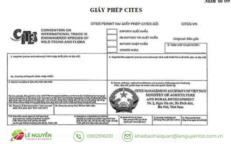 Trình tự cấp Giấy phép CITES cho doanh nghiệp xuất khẩu gỗ