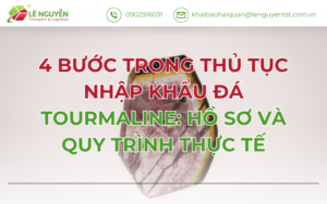 4 Bước Trong Thủ Tục Nhập Khẩu Đá Tourmaline: Hồ Sơ Và Quy Trình Thực Tế