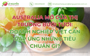 Australia mở cửa thị trường bưởi tươi: Doanh nghiệp Việt cần đáp ứng những tiêu chuẩn gì?
