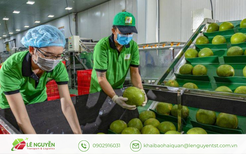 Yêu cầu hồ sơ và điều kiện thông quan