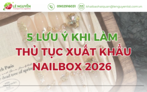 5 Lưu Ý Khi Làm Thủ Tục Xuất Khẩu Nailbox 2026