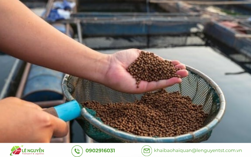 Kiểm Tra Chất Lượng Khi Nhập Khẩu Thức Ăn Thủy Sản