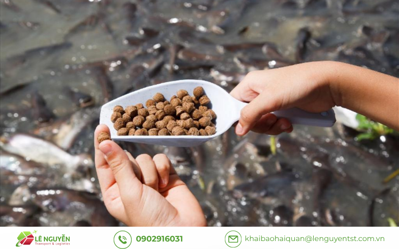 Nhập Khẩu Thức Ăn Thủy Sản Có Bắt Buộc Công Bố Không?