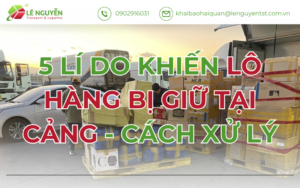 5 Lí Do Khiến Lô Hàng Bị Giữ Tại Cảng - Cách Xử Lý