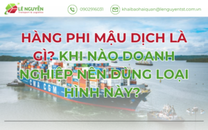 Hàng Phi Mậu Dịch Là Gì? Khi Nào Doanh Nghiệp Nên Dùng Loại Hình Này?