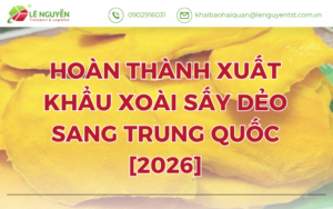HOÀN THÀNH XUẤT KHẨU XOÀI SẤY DẺO SANG TRUNG QUỐC [2026]