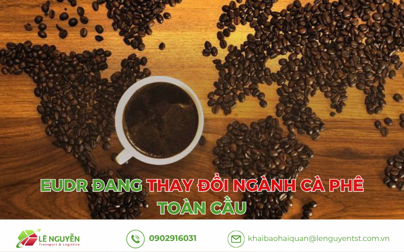 EUDR đang thay đổi ngành cà phê toàn cầu