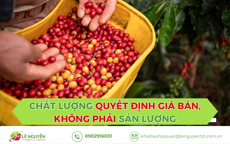 Chất lượng quyết định giá bán, không phải sản lượng