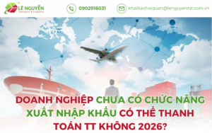 Doanh Nghiệp Chưa Có Chức Năng Xuất Nhập Khẩu Có Thể Thanh Toán TT Không 2026?