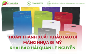 Hoàn Thành Thủ Tục Xuất Khẩu Bao Bì Màng Nhựa Đi Mỹ - Khai Báo Hải Quan Lê Nguyễn [2026]