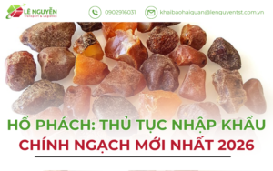Hổ Phách: Thủ Tục Nhập Khẩu Chính Ngạch Mới Nhất 2026
