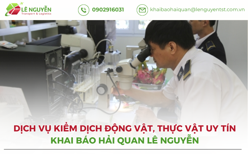 Dịch Vụ Kiểm Dịch Động Vật, Thực Vật - Uy Tín Khai báo hải quan Lê Nguyễn