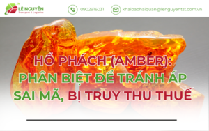 Hổ Phách (Amber): Phân Biệt Để Tránh Áp Sai Mã, Bị Truy Thu Thuế