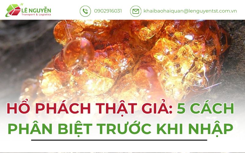Hổ Phách Thật Giả: 5 Cách Phân Biệt Trước Khi Nhập