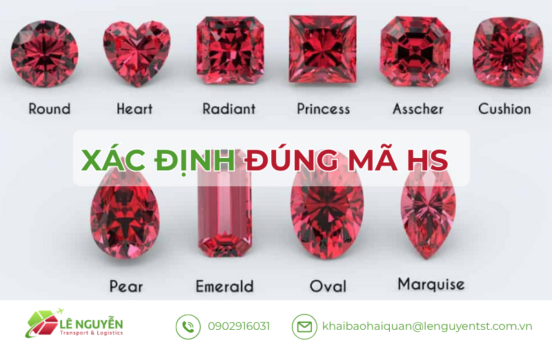 Xác Định Đúng Mã HS - Khai Báo Hải Quan Lê Nguyễn sẽ hỗ trợ bạn chuyện này