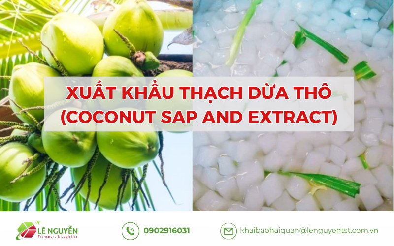 Xuất Khẩu Thạch Dừa Thô(Coconut Sap and Extract)