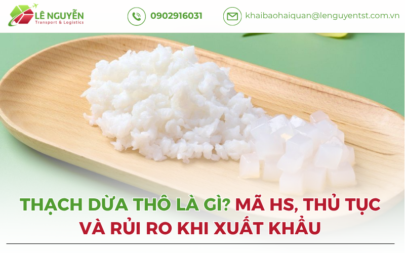 Thạch Dừa Thô Là Gì? Mã HS, Thủ Tục Và Rủi Ro Khi Xuất Khẩu