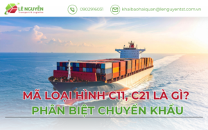 Mã loại hình C11 C21 là gì – Khai báo hải quan Lê Nguyễn