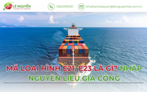 Mã loại hình E21 E23 là gì – Khai báo hải quan Lê Nguyễn